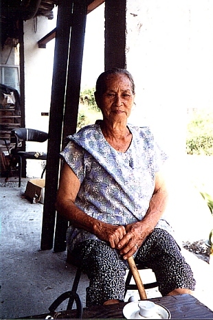 gw01.jpg (108945 bytes)