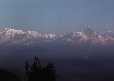 hymalia.jpg (16807 bytes)