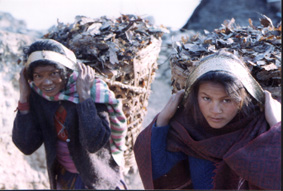 oldwomen.JPG (36958 bytes)