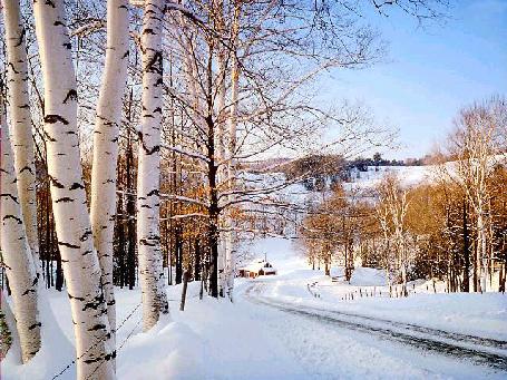Vermont In Winter