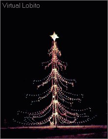 Natal (�rvore)