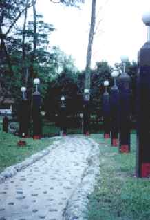 Linear Garden