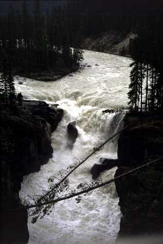 Sunwapta Falls