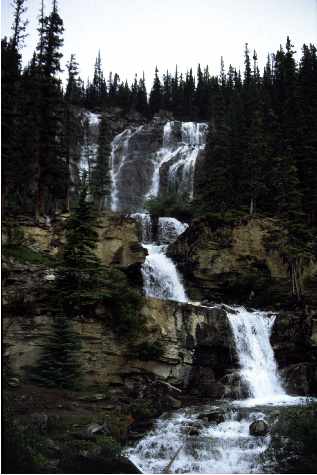 Tangle Falls