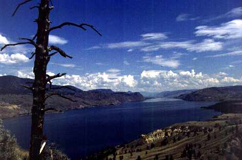 Eine fast gemalte Landschaft