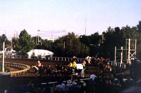 Wagenrennen