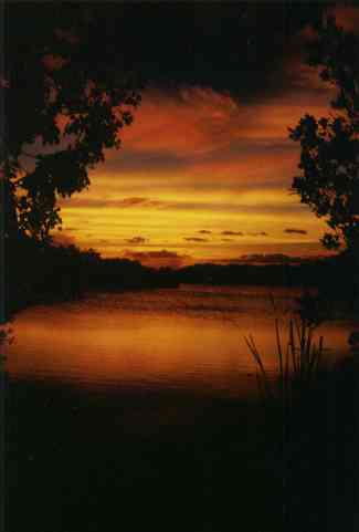 Sonnenuntergang in den Everglades