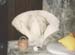 Whalebone craving by Tom Johnston