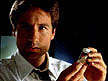 mulder10