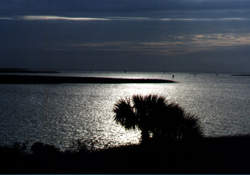 florida sunset