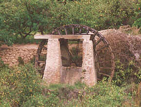 Noria de Ojs
