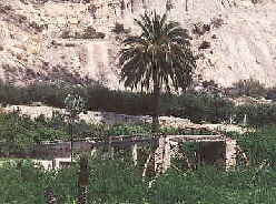 Noria de Ulea