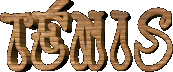 tenis.gif (9284 bytes)