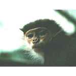Zoo