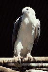 B006.JPG