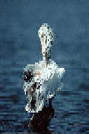 B008.JPG