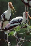 B010.JPG