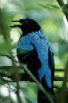 B011.JPG