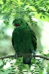 B017.JPG