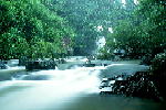 W001.JPG
