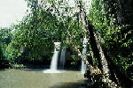 W005.JPG