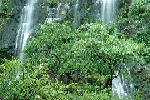W006.JPG