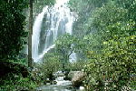 W007.JPG