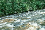 W008.JPG