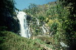 W009.JPG