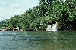 W015.JPG