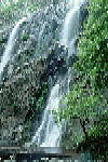 W017.JPG