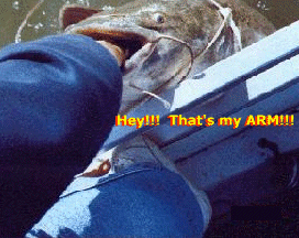 The Perils of Fishing