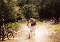 Mountain biking along the Garden Route