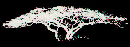 Bushveld Tree