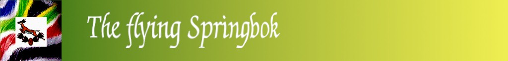 The flying Springbok