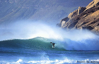 Surf's up dude!! 