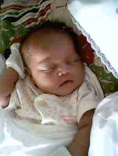 Camillia July97 3