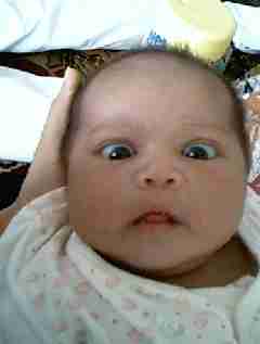 Camillia July97 6