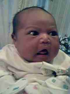 Camillia July97 1