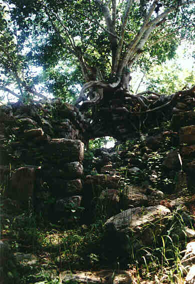 mayapan2.jpg