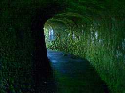 Connecting tunnel