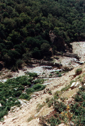River valley - Picture by SKIN (66k)