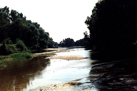 Nestos river - Picture by SKIN (47k)
