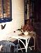 smoking cigar with cat
