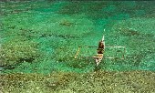 Ambon Malucas