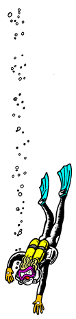 Diver