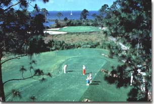 View of One of the Many Golf Courses Near Tops'l