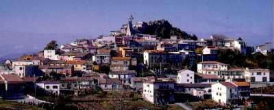 Duronia