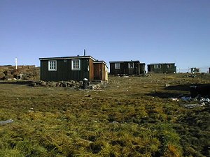 Houses in Qeqertat
