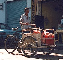 Head in a wagon